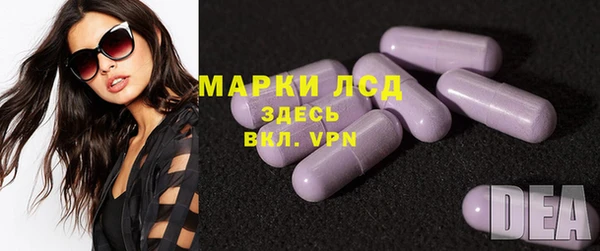 ПСИЛОЦИБИНОВЫЕ ГРИБЫ Арсеньев