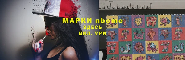 ПСИЛОЦИБИНОВЫЕ ГРИБЫ Арсеньев