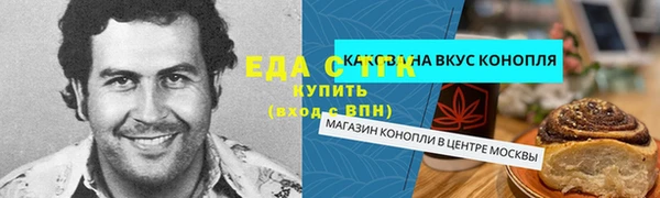 индика Протвино