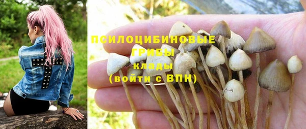 тгк Алексин