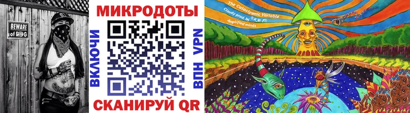 Псилоцибиновые грибы Psilocybine cubensis Рузаевка